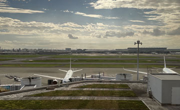 Fly To The Honky Tonk 2025.10.05